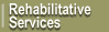 rehabilitative services